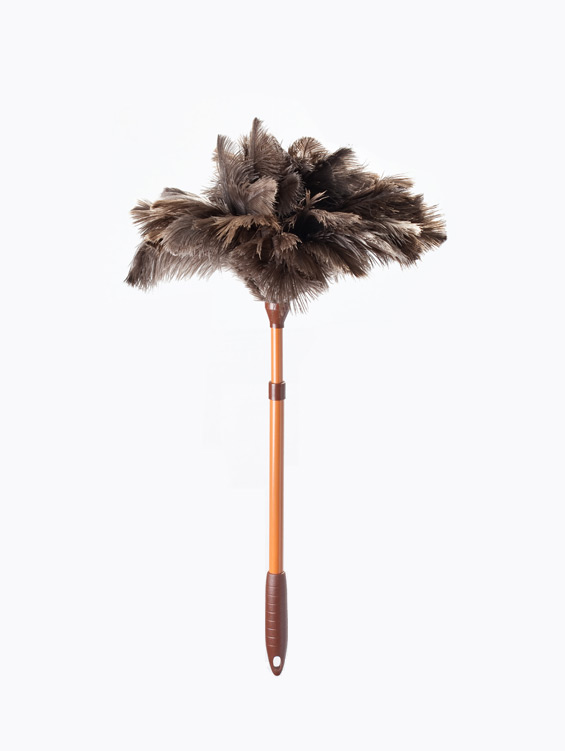 Ostrich feathers duster with a short extensible aluminum handle